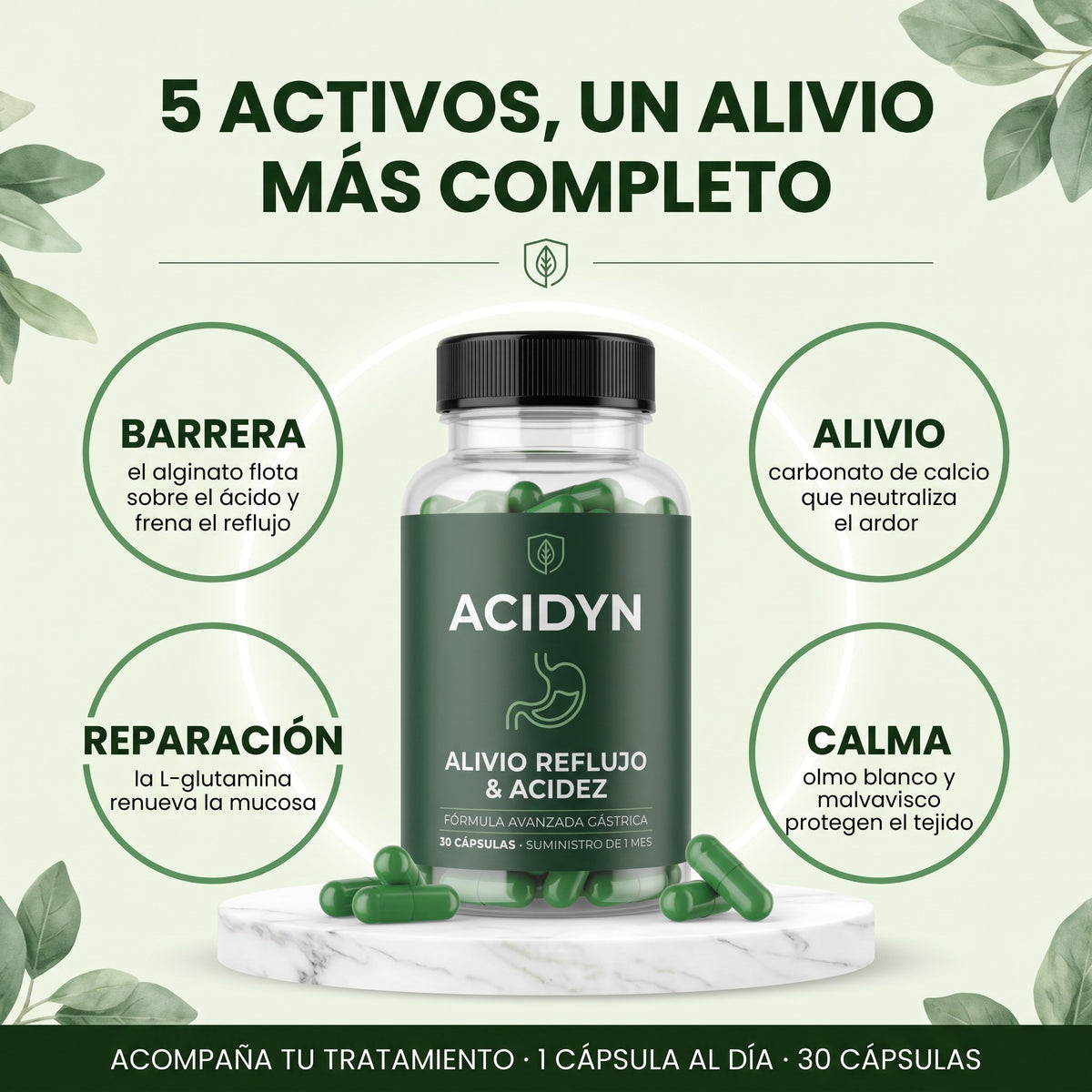 Acidyn Forte+ · 5 activos: barrera, reparación, alivio y calma