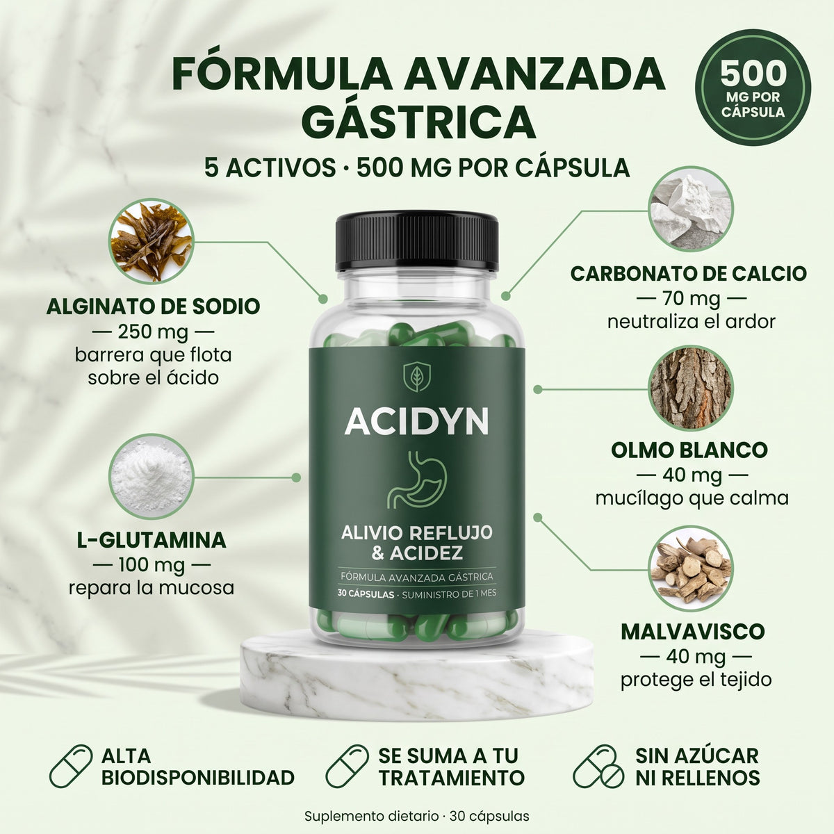 Acidyn Forte+ · fórmula: alginato 250 mg, L-glutamina 100 mg, calcio 70 mg, olmo blanco 40 mg, malvavisco 40 mg