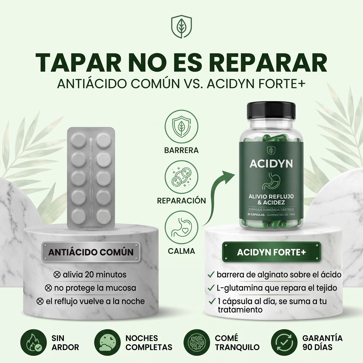 Acidyn Forte+ · tapar no es reparar: antiácido común vs Acidyn